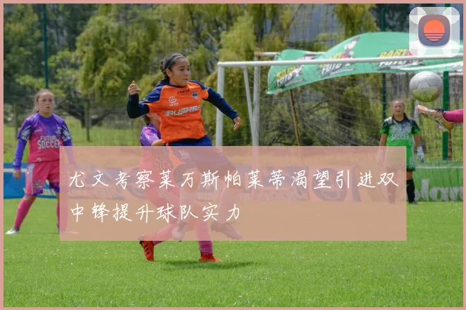 尤文考察莱万斯帕莱蒂渴望引进双中锋提升球队实力