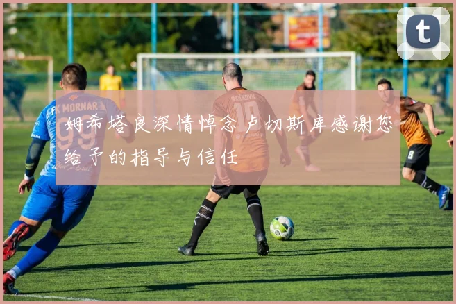 姆希塔良深情悼念卢切斯库感谢您给予的指导与信任